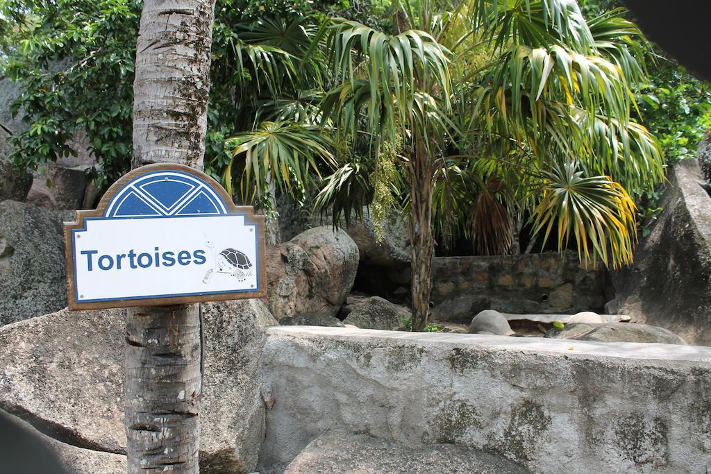 Hotel Chateau St Cloud La Digue Eksteriør billede