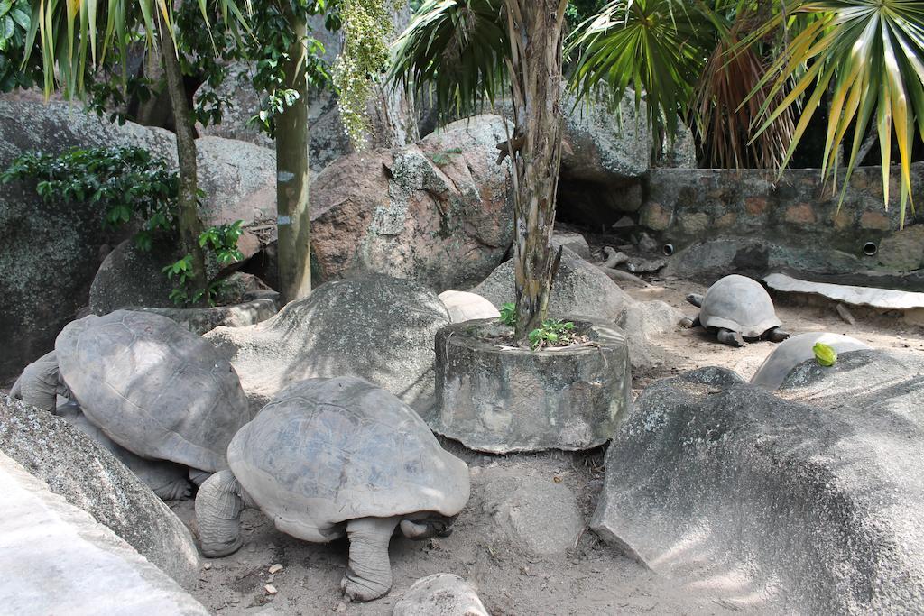 Hotel Chateau St Cloud La Digue Eksteriør billede