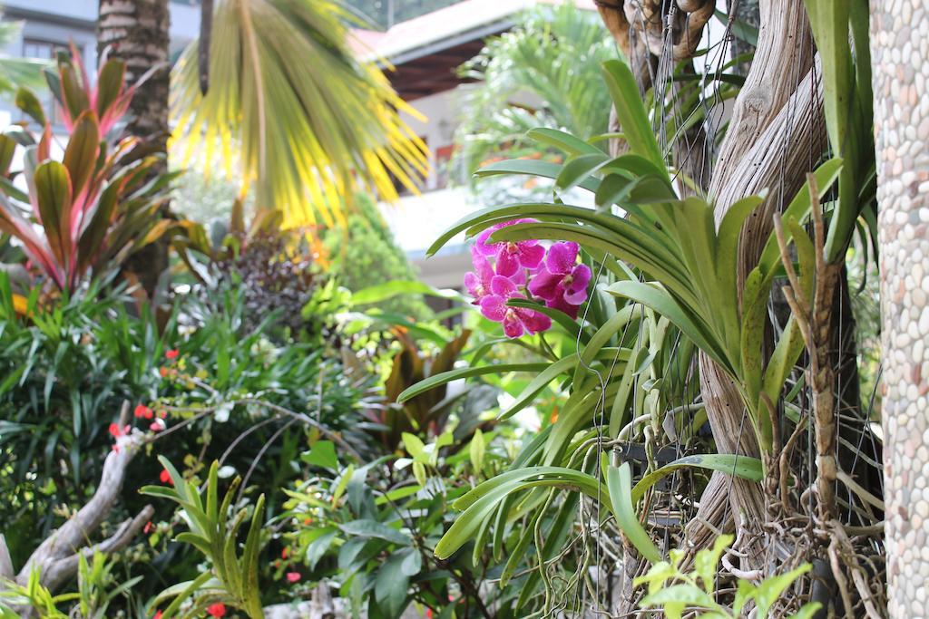 Hotel Chateau St Cloud La Digue Eksteriør billede